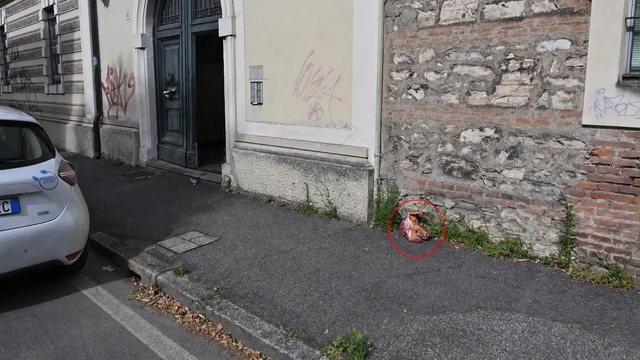 Futura moschea di via Camozzi, lasciata una testa di maiale all’ingresso...