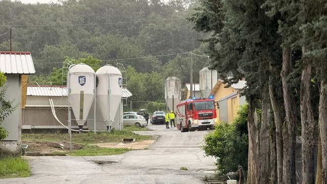 Post Instagram @giornaledibrescia: Schiacciato dal trattore: tragedia in un’azienda agricola di Gavardo...