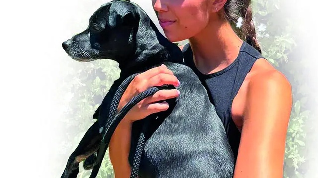«Io e il mio cane aggrediti da una nutria»...
